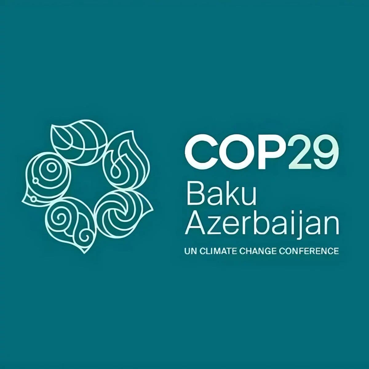 gccm-press-cop29.jpg